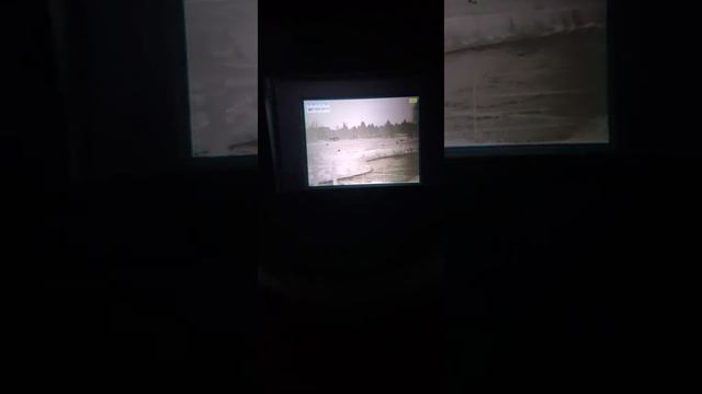 Thermal vs Night vision (3rd gen PVS-14, HALO LR, and MH 25) смотреть онлайн