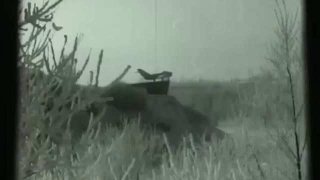Ржев кинохроника 3 марта 1973 смотреть онлайн