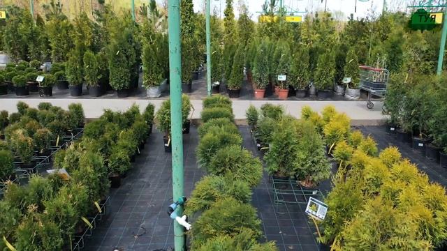 Садовый центр Южный Торговая площадка смотреть онлайн