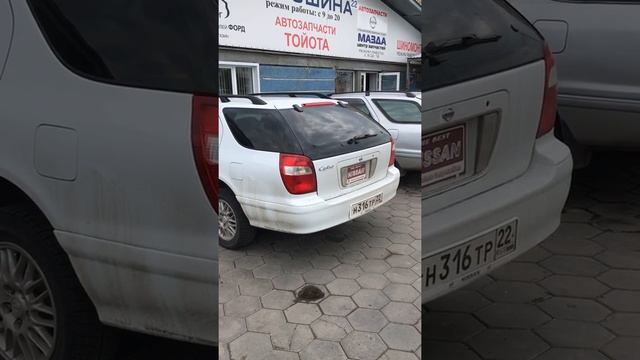 Амортизаторы стекла пятой двери Cefiro wagon смотреть онлайн