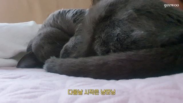 [SUB] 드디어 맥북 샀다!? | 맥북 M3 pro 14인치 구매, 알바, 파니니 영업 성공 смотреть онлайн
