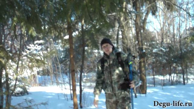 Собираем погрызушки для дегу зимой. смотреть онлайн