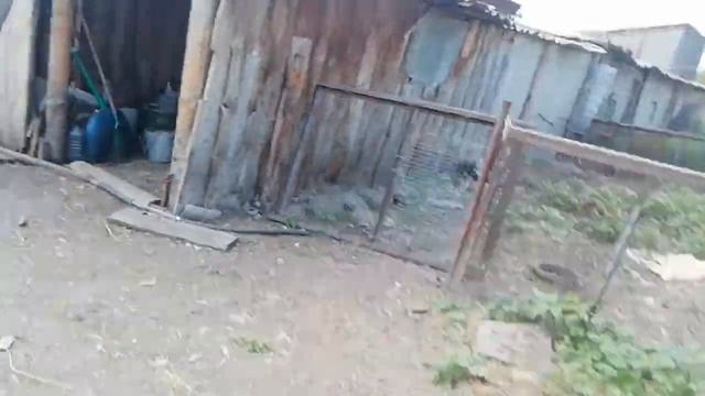 РУММ ТУРМ ДВОРА В ДЕРЕВНЕ (НАЗВАНИЕ ОТ БАЛДЫ) смотреть онлайн