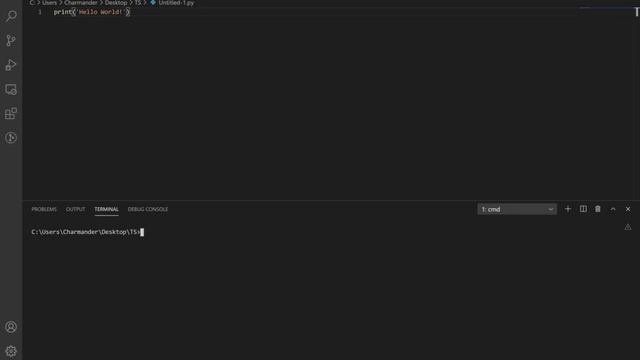 Key Concepts on Think Python | First pages смотреть онлайн