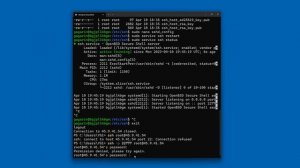 Как подключиться к серверу по SSH с ключом? Базовая защита SSH-соединения