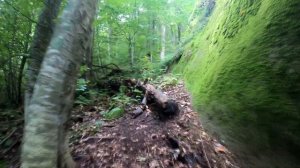 Водопад на реке Кызылбек Мостовский район село Солёное