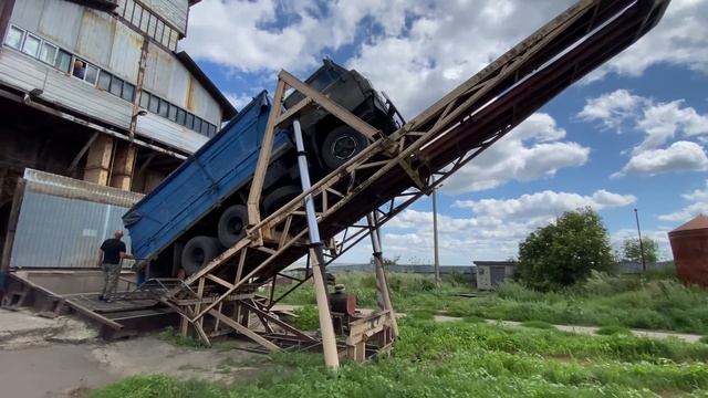 ? УБОРКА УРОЖАЯ 2023 НАЧАЛАСЬ! Убираем ОЗИМУЮ ПШЕНИЦУ на Т500 смотреть онлайн