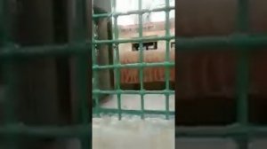 могилы пророка Иброхима Яъкуба и Юсуфа алайхим салам