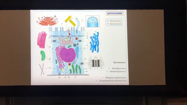 10 февраля 2020 г.