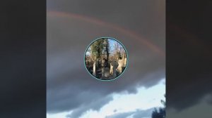 Вышел Покурить - Кладбище