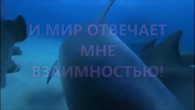 Аффирмации здоровья и радости для детей. смотреть онлайн