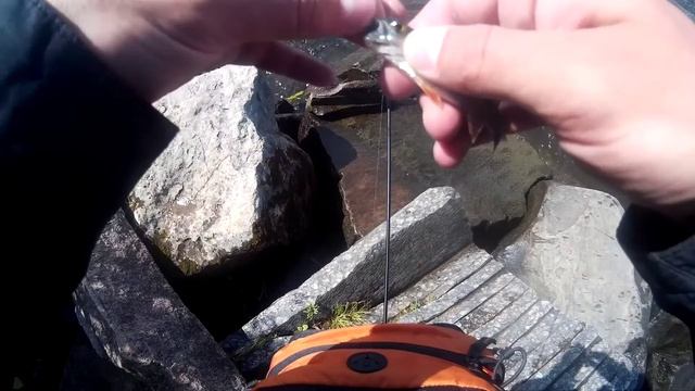 Тренировка на канале им. Москвы в Долгопрудном перед вторым туром соревнований "Золотая рыбка" смотреть онлайн