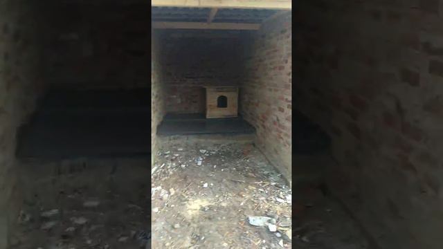 ПРИЮТ НУЖДАЕТСЯ В ПОМОЩИ....