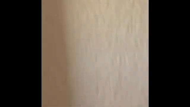 Champion 3276 issues