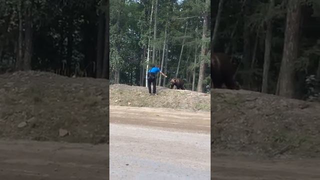 Медведь и Сникерс #медведь смотреть онлайн