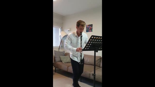 Guy Levin plays Konzert Franz Anton Hoffmeister смотреть онлайн