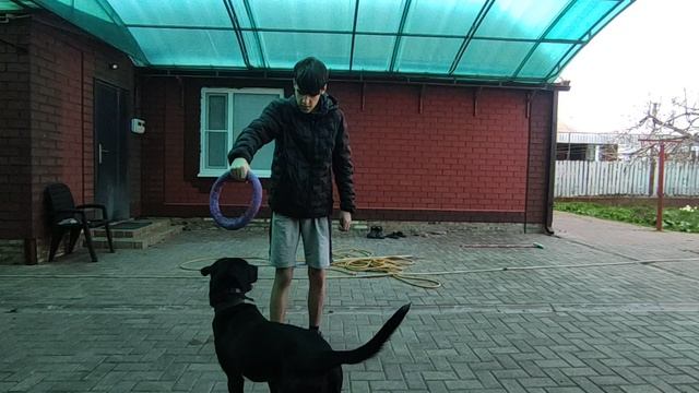 Два друга. смотреть онлайн