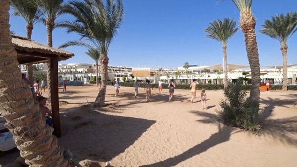 Отель Coral Sea Sensatori Resort 5* (CORAL SEA IMPERIAL SENSATORI) Шарм-эль-Шейх - обзор комплекса