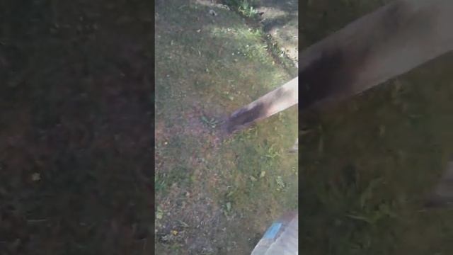 Выбери правильный балансборд челлендж смотреть онлайн