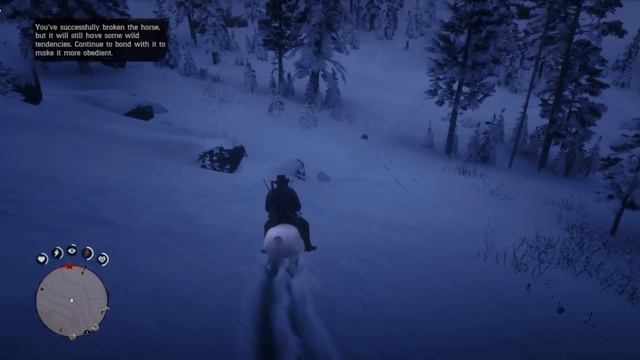 HOW & WHERE TO GET THE FASTEST WILD HORSE IN RED DEAD REDEMPTION 2 смотреть онлайн