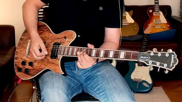 Washburn "Idol" Limited Edition in spalted Maple смотреть онлайн