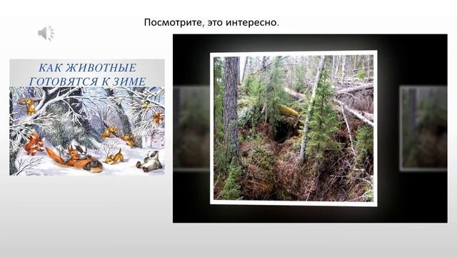 Дикие животные. Игровые упражнения для детей 4 - 7 лет смотреть онлайн