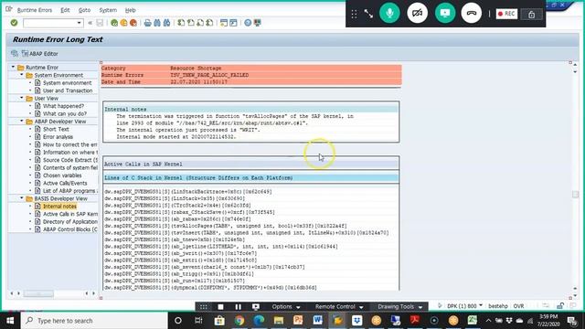 SAP Dump Analysis смотреть онлайн