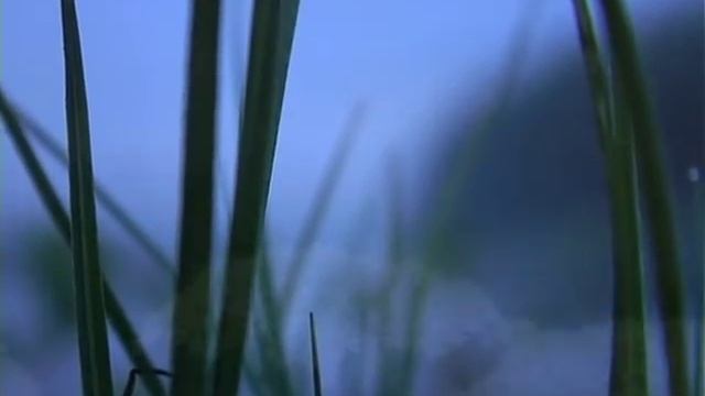 Прогулка по рекам Северо-Енисейского района смотреть онлайн