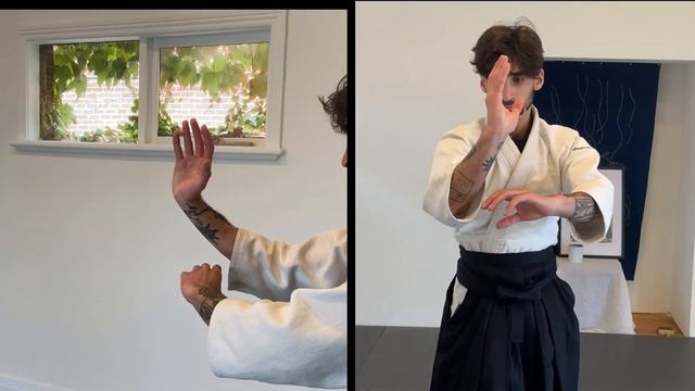 Aikido Basics - Shomen Uchi Ikkajo Osae Ichi or Shomen Uchi Ikkyo Omote смотреть онлайн