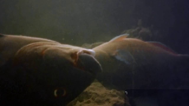 Скандальная правда о компании Apple! 