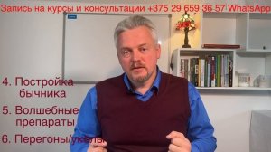 6 ошибок в откорме бычков | откорм КРС