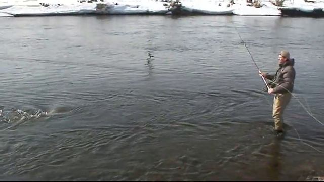 проводка 1 1 смотреть онлайн