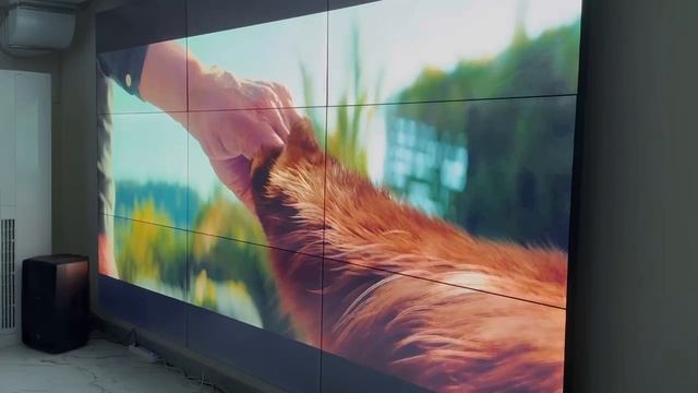 Ко Дню детского кино в России в музее «Природа Прикаспия» состоялся показ кинофильмов смотреть онлайн