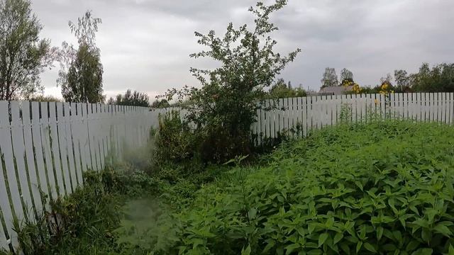 КУПИТЬ ЗЕМЕЛЬНЫЙ УЧАСТОК В ЛЕНИНГРАДСКОЙ ОБЛАСТИ // ОБЗОР ЗАГОРОДНОЙ НЕДВИЖИМОСТИ САНКТ-ПЕТЕРБУРГА смотреть онлайн