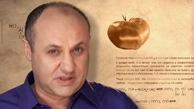 от укропа до сиропа