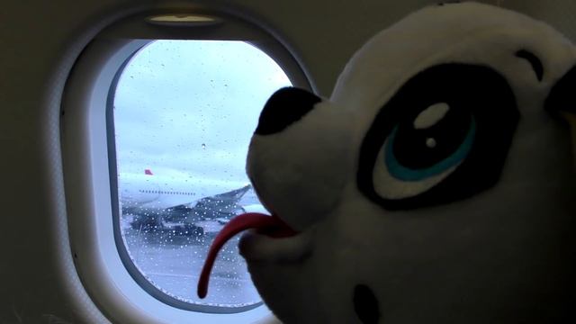 VLOG Рома и Диана с собачками PEPPY PETS летят в Америку Видео для Детей смотреть онлайн