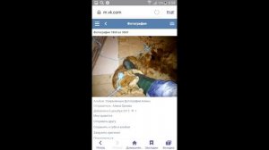 Хабаровские живодерки - Шокирующие фото и переписка