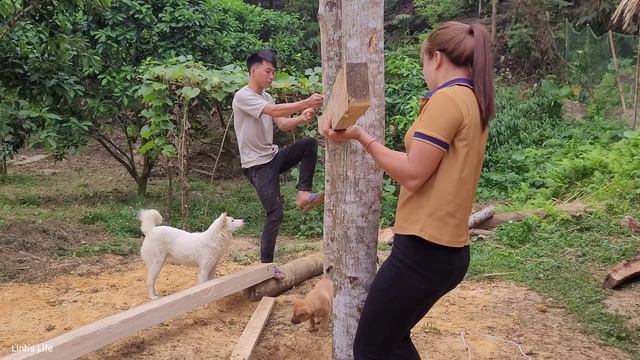 Linh and Dan built a one-pillar wooden cabin, erected the pillars and poured concrete on the floor смотреть онлайн
