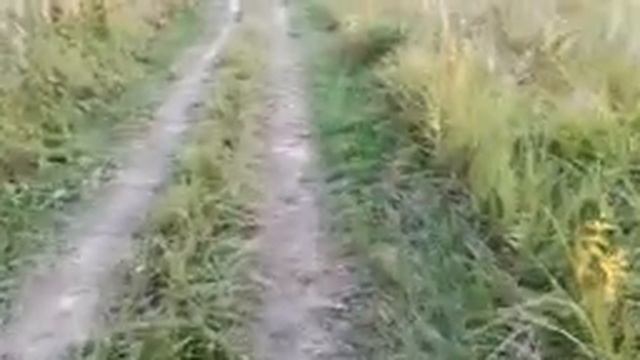 Опять он здесь стоит смотреть онлайн
