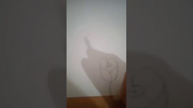 Как нарисовать простую розу смотреть онлайн