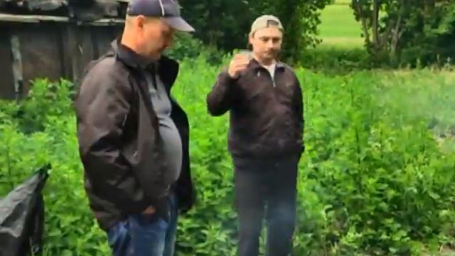 Друзья-одноклассники смотреть онлайн