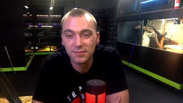 Reptile Lounge 13- Open Chat & Discussing The Body Structure Of Python's смотреть онлайн