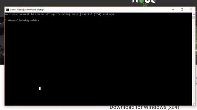 Setting up Javascript and NodeJS on Windows 10 смотреть онлайн