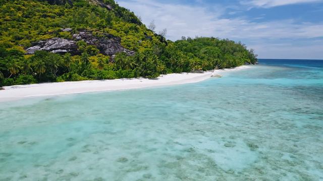 200 Romantic Melodies | Best Saxophone Ensemble Ever | The most relaxing Saxophone music🎷 смотреть онлайн