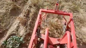 Копаем картошку минитракторам мтз 112  и кфт2 01#минитрактор #мтз112 #картофелекопалка