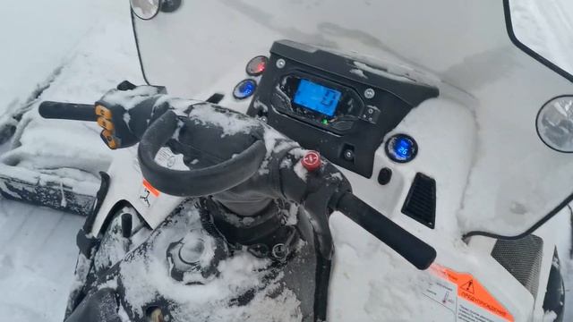 STELS ОЖИЛ! смотреть онлайн