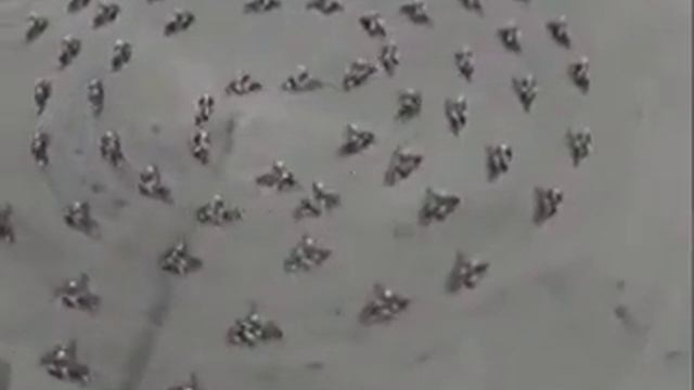 Крутые трюки на мотоциклах смотреть онлайн