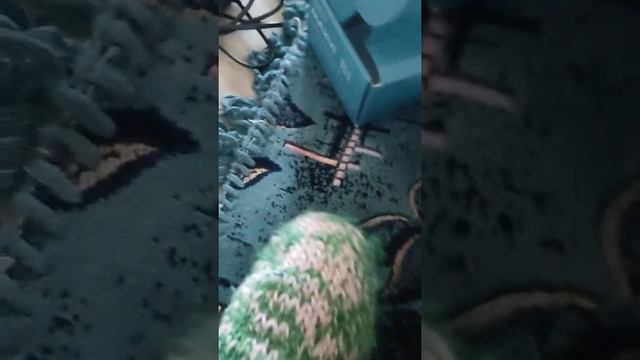 Обзор телефона Maxvi B1