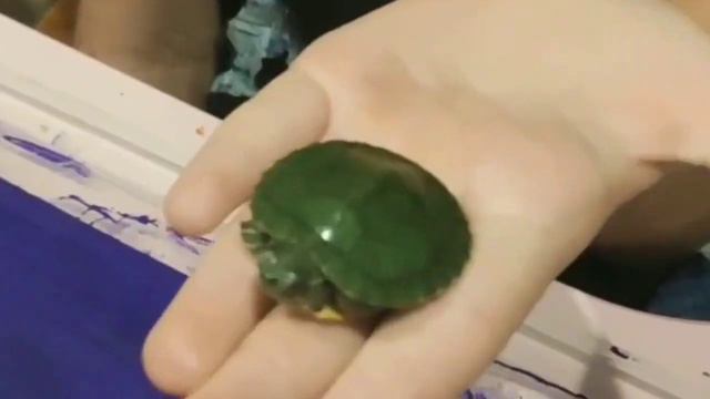 Рисуем в технике граттаж. студия "Калейдоскоп" (Мультпроет "Каникулы") смотреть онлайн