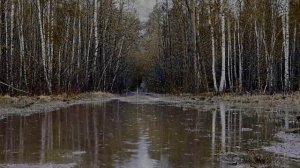 Звуки дождя и грома для глубокого сна. Звуки природы 1 час